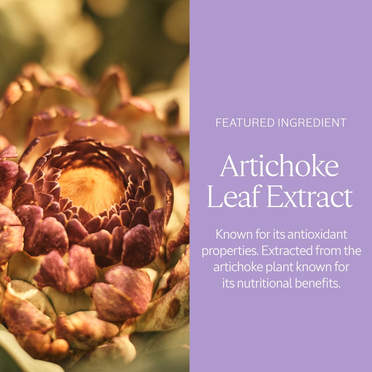 Foto 8 pulgar | Crema Corporal L'occitane Artichoke Que Redefine La Piel Firme 200 Ml - Venta Internacional.