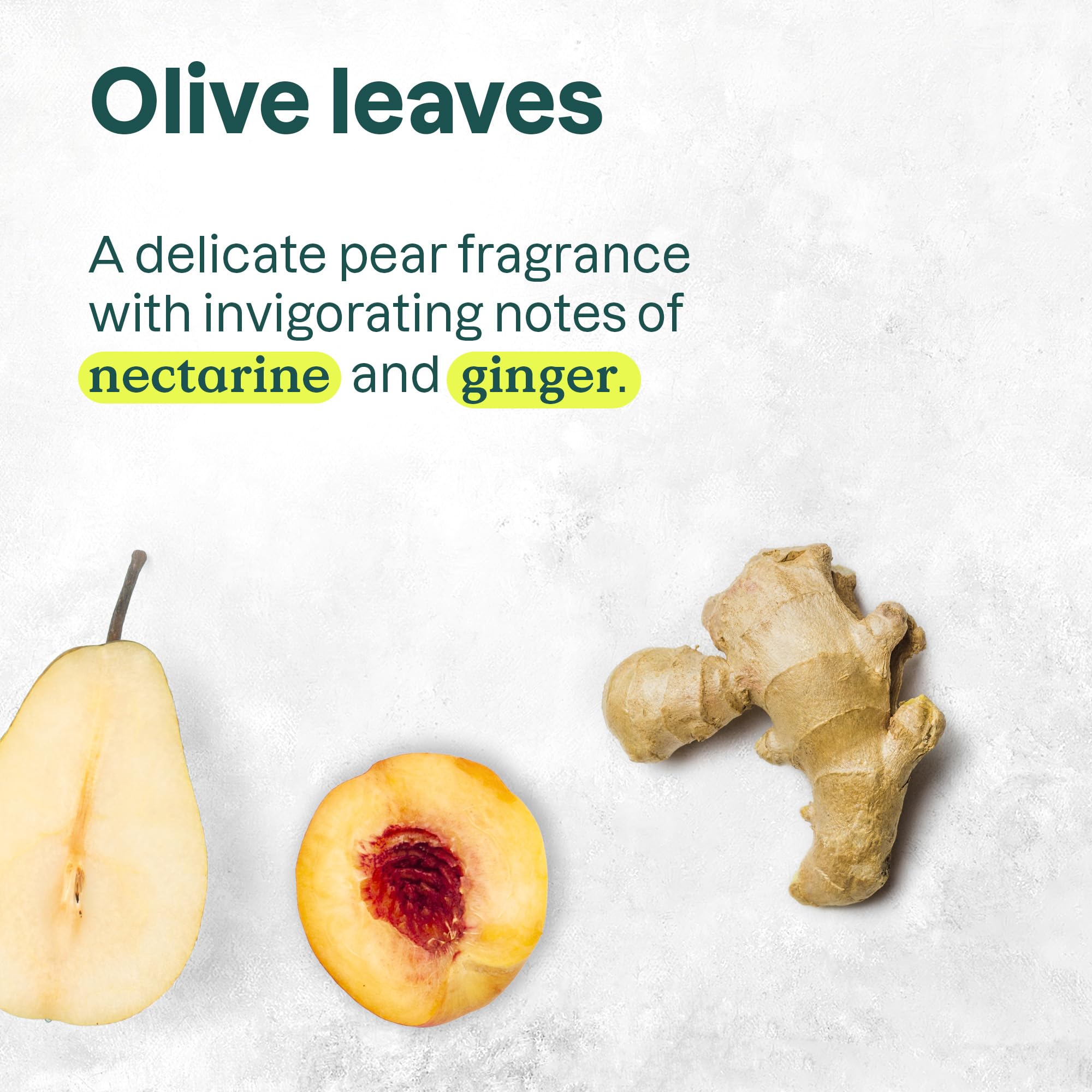 Foto 5 | Gel De Baño Attitude Olive Leaves, 473 Ml (paquete De 6) - Venta Internacional.
