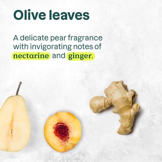 Foto 5 | Gel De Baño Attitude Olive Leaves, 473 Ml (paquete De 6) - Venta Internacional.