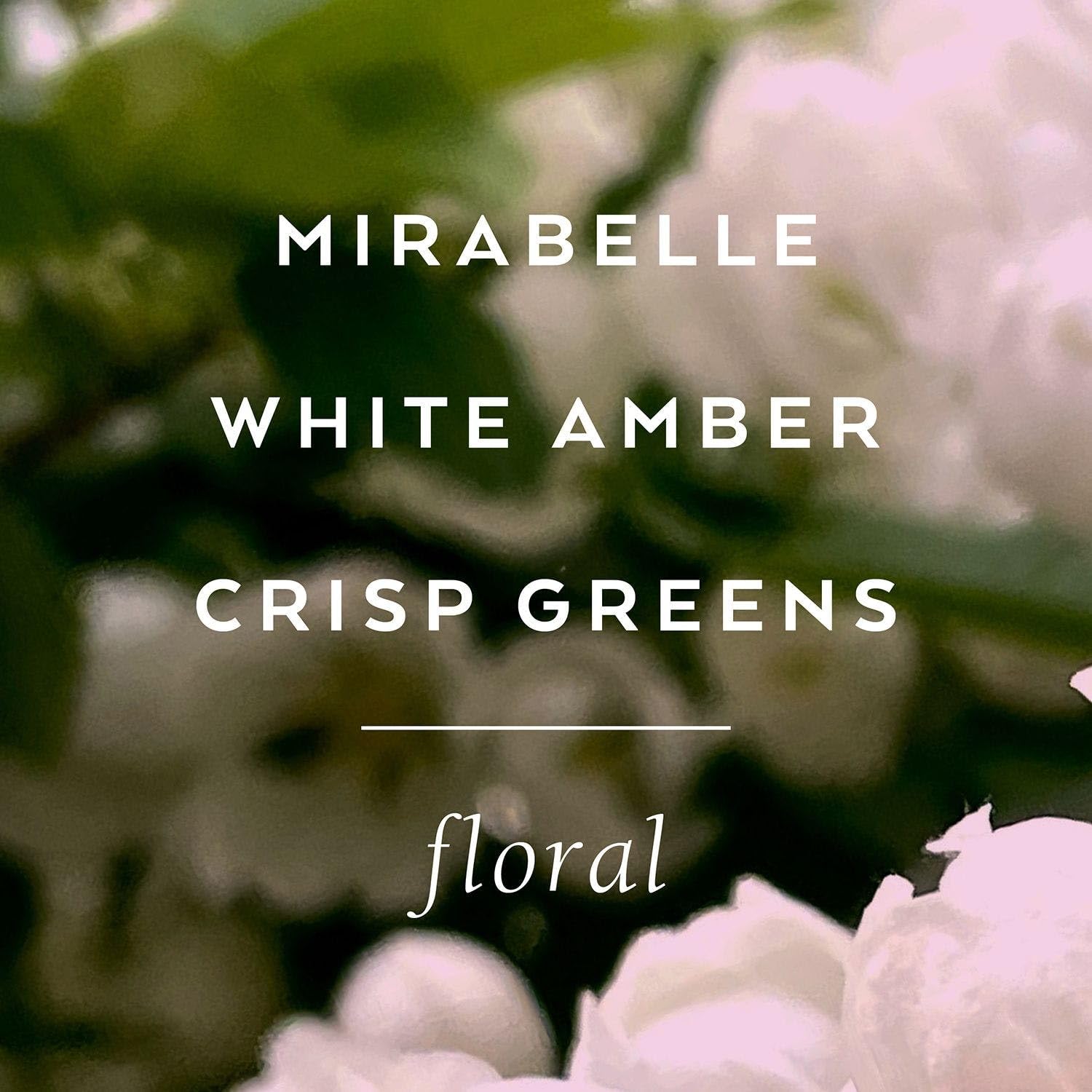 Foto 4 | Manteca Corporal Lollia Elegance White Amber & Mirabelle 165 Ml - Venta Internacional.