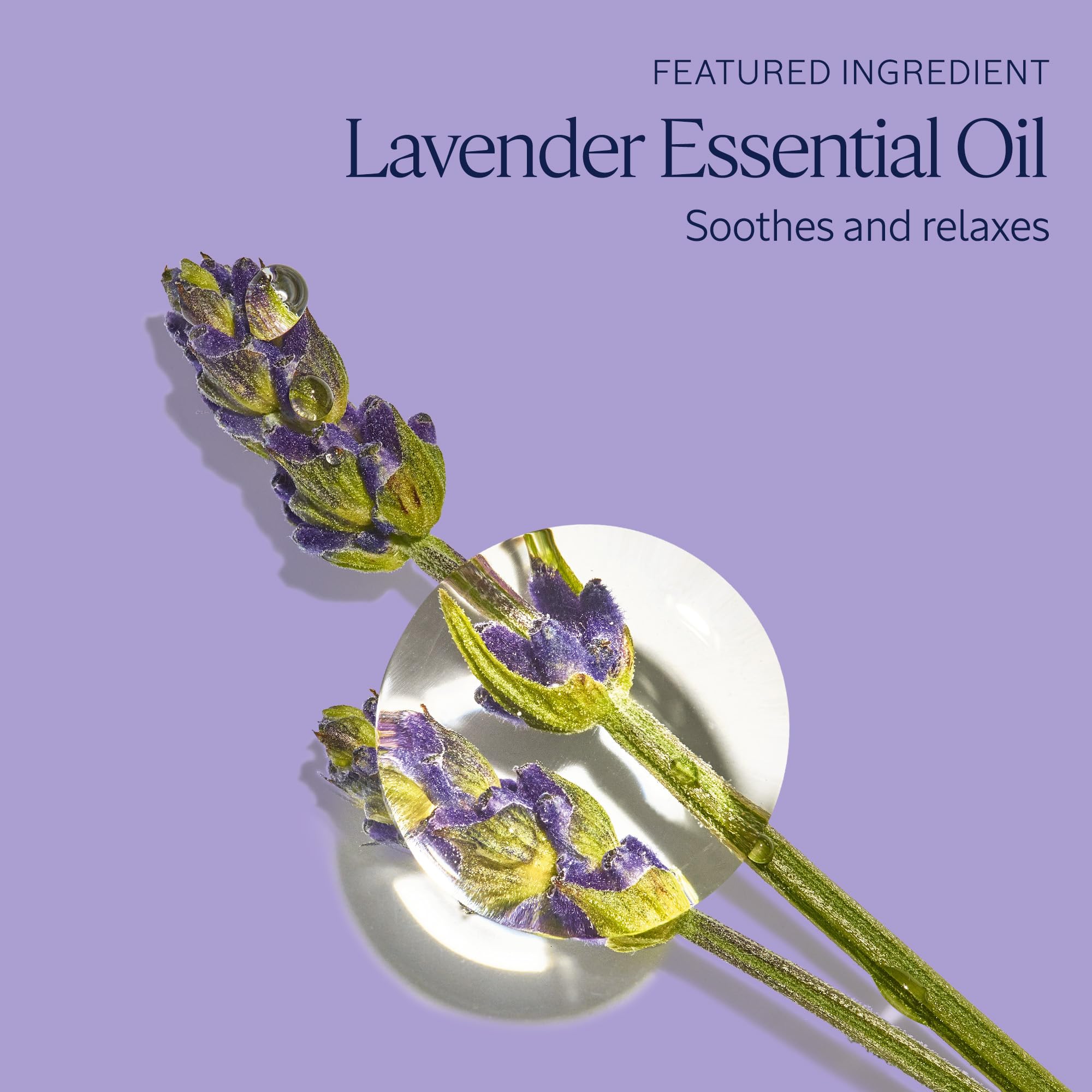 Foto 5 pulgar | Recambio De Baño De Burbujas L'occitane Relaxing & Foaming Lavender 500 Ml - Venta Internacional.