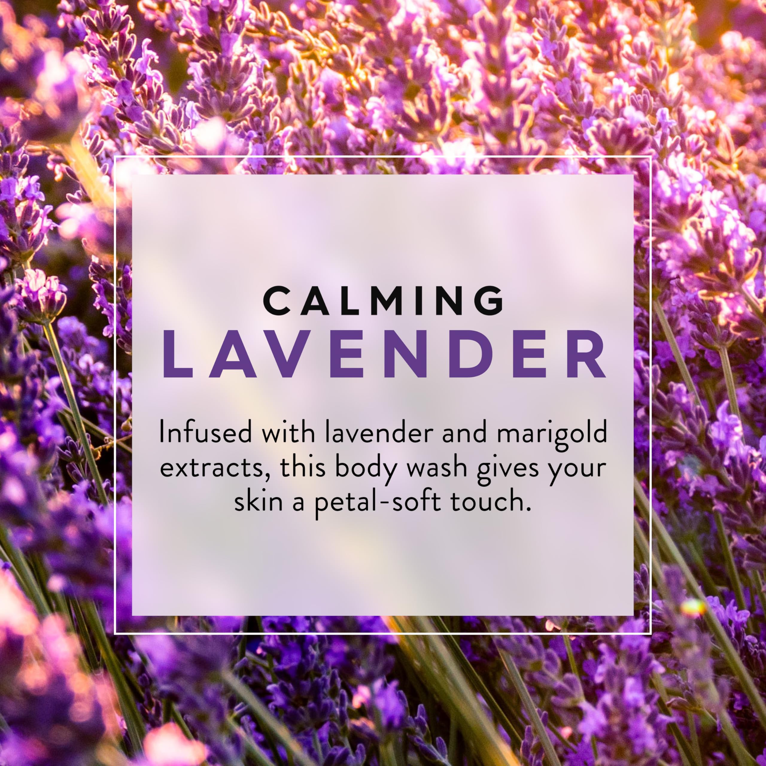 Foto 4 pulgar | Gel de Baño Jason Lavender Calming 900 ml con Vitamina E y B5 - Venta Internacional