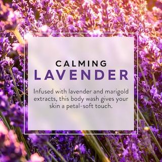 Foto 3 | Gel de Baño Jason Lavender Calming 900 ml con Vitamina E y B5 - Venta Internacional