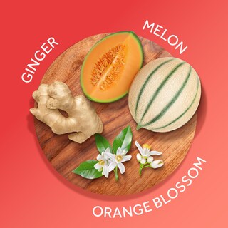 Foto 2 | Crema Corporal Calgon Skin Nourishing Hawaiian Ginger 240ml - Venta Internacional.
