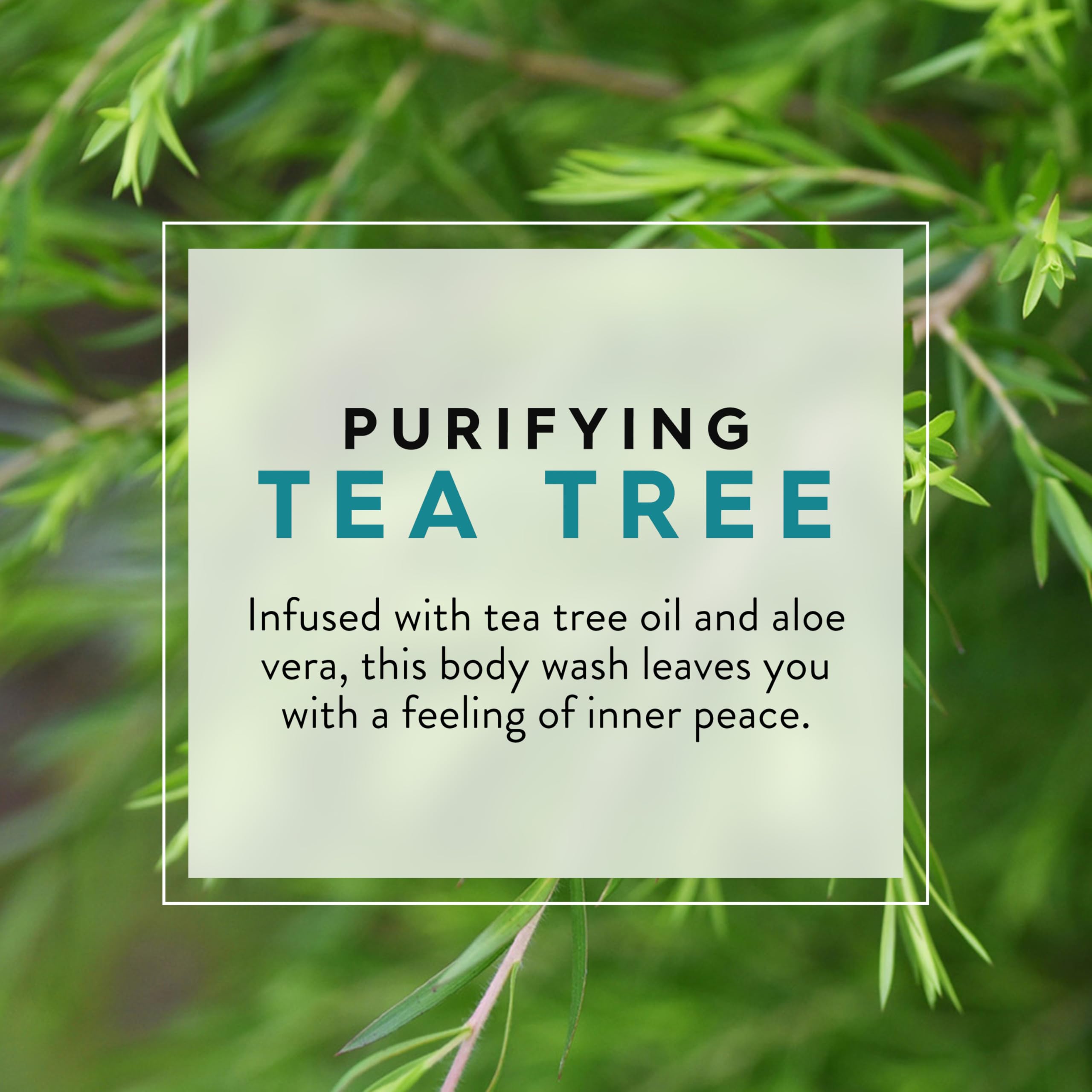 Foto 4 pulgar | Gel De Baño Jason Tea Tree Purifier 900 Ml Con Vitamina E Y Aloe - Venta Internacional.