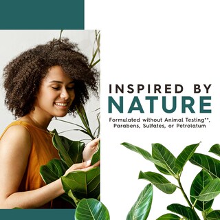 Foto 5 | Gel De Baño Jason Tea Tree Purifier 900 Ml Con Vitamina E Y Aloe - Venta Internacional.