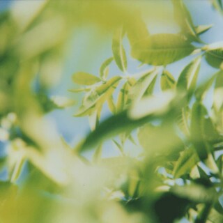 Foto 7 | Loción Corporal L'occitane Verbena Refrescante Con Aroma A Limón 250 Ml - Venta Internacional.