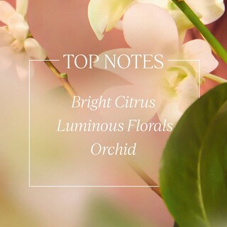 Foto 4 | Leche Corporal L'occitane Neroli & Orchidee Hidratante Vegana 250 Ml - Venta Internacional.