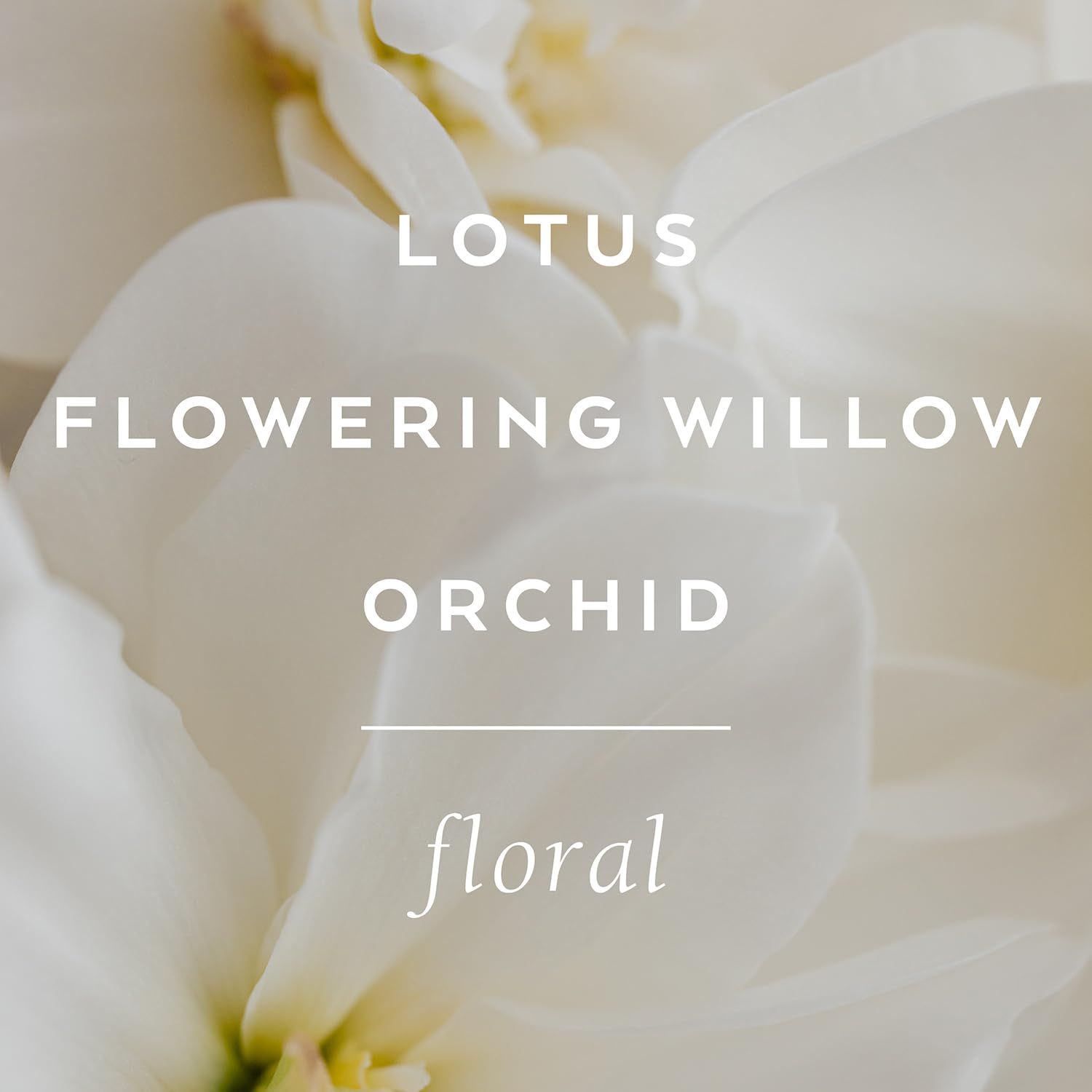Foto 5 pulgar | Aceite Corporal Lollia Imagine Flowering Willow & Lotus 200 Ml Para Mujer - Venta Internacional.