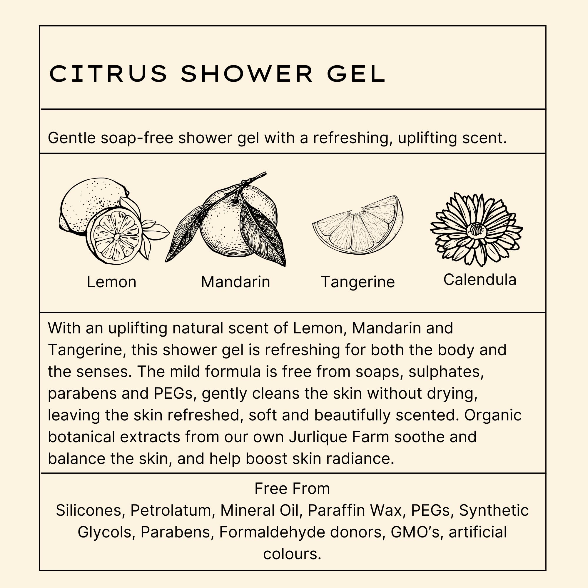 Foto 6 | Gel De Ducha Jurlique Citrus 300 Ml Con Ingredientes Botánicos Orgánicos - Venta Internacional.
