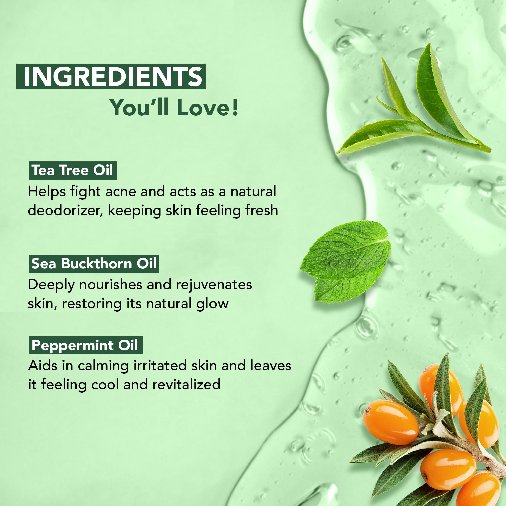 Foto 6 | Gel De Baño Botanic Hearth, Aceite De Árbol De Té, 480 Ml - Venta Internacional.