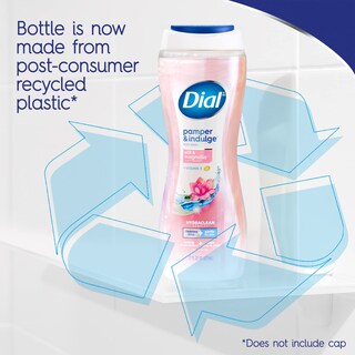 Foto 5 | Gel De Baño Dial Pamper & Indulge Silk & Magnolia 946 Ml - Venta Internacional.
