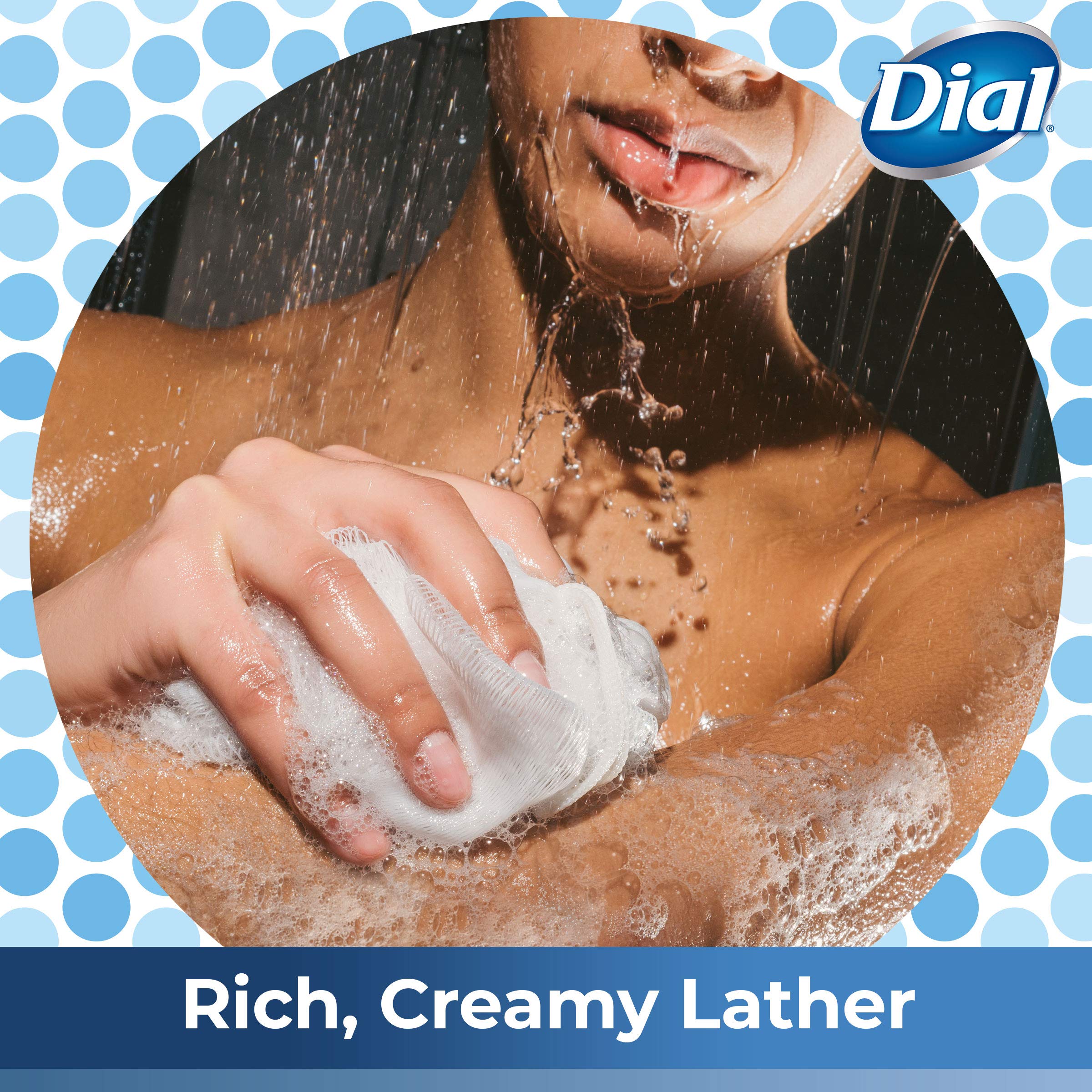 Foto 4 | Gel De Baño Dial Silk & Magnolia, 680 Ml (paquete De 3) - Venta Internacional.