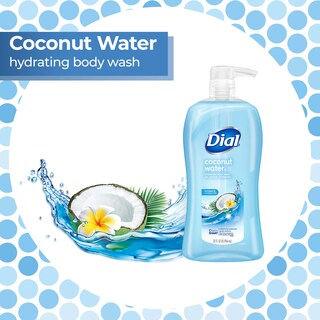 Foto 2 | Gel de Baño Dial Refresh & Renew 946 ml-Venta Internacional
