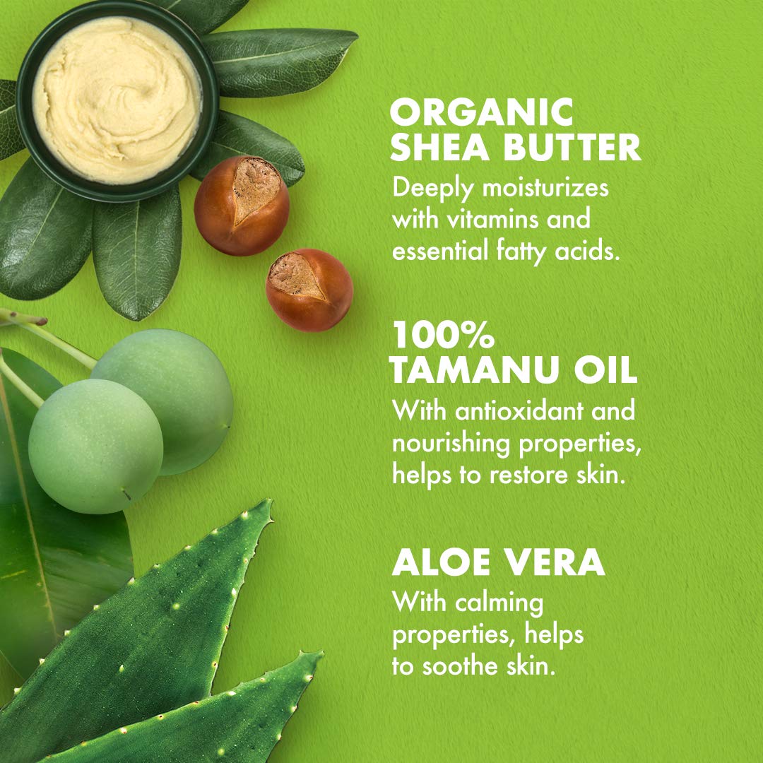 Foto 5 pulgar | Loción Corporal Sheamoisture 100% Aceite De Tamanu Con Manteca De Karité 473 Ml - Venta Internacional.