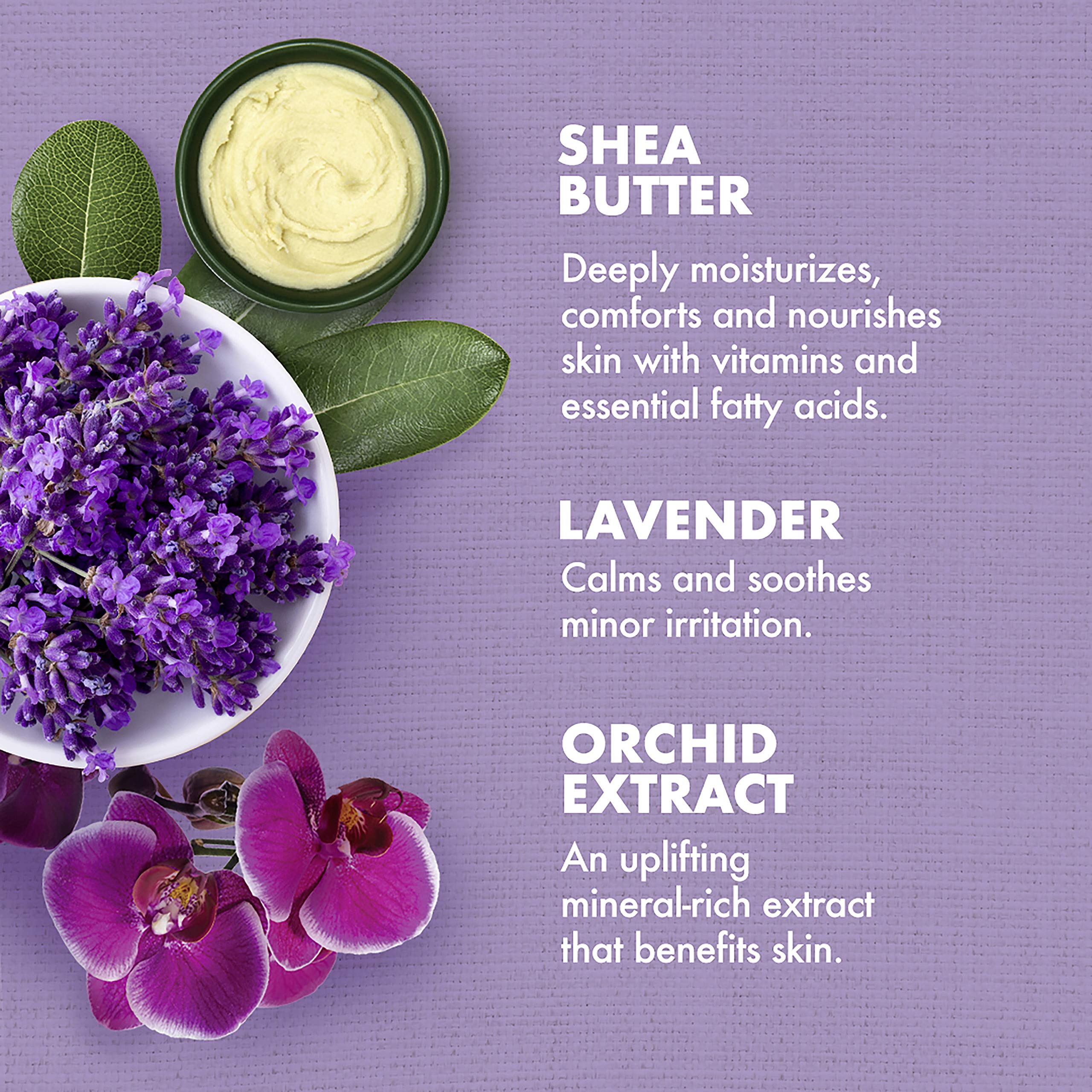 Foto 4 pulgar | Aceite de Baño Sheamoisture Lavender Wild Orchid 237 ml-Venta Internacional