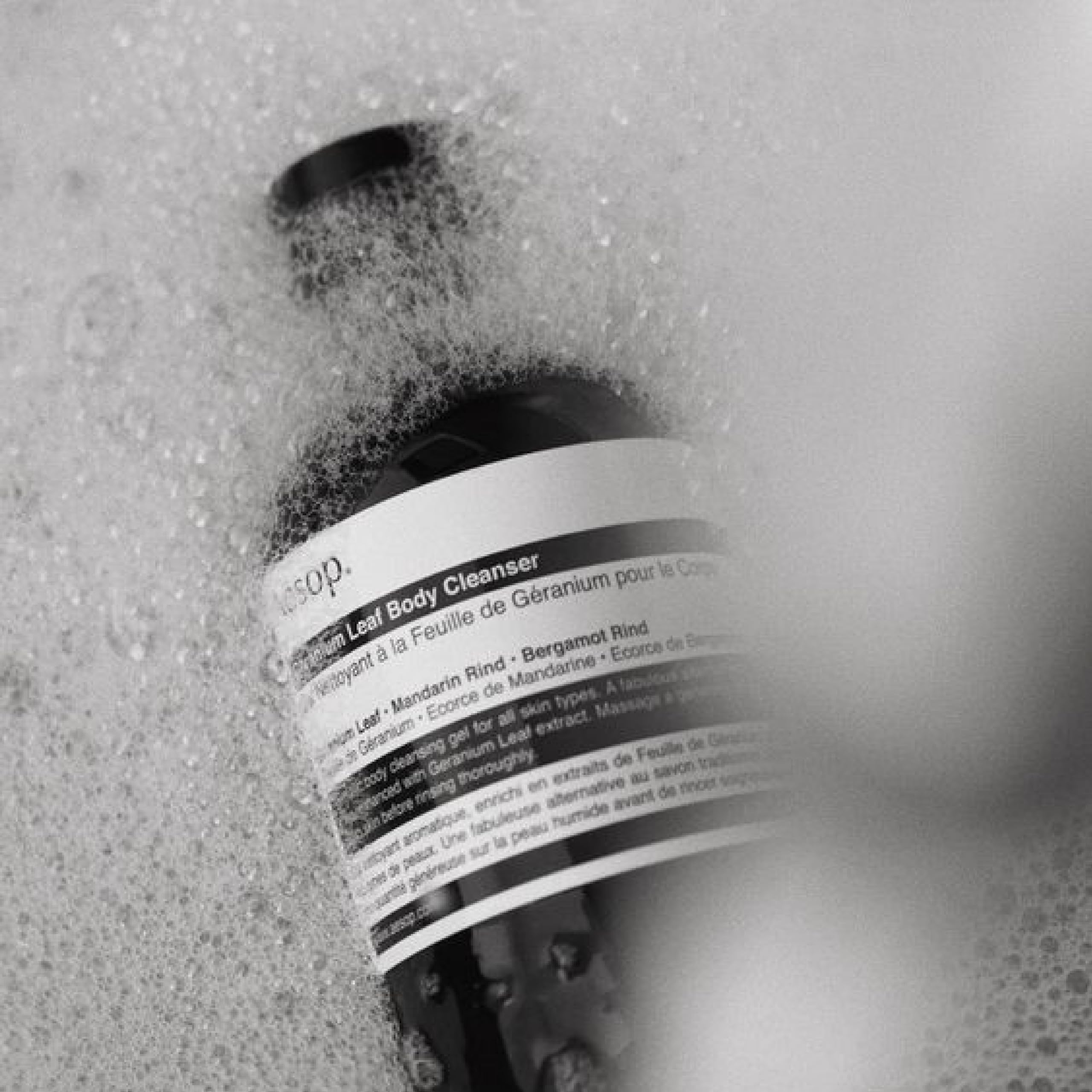 Foto 6 | Limpiador Corporal Aesop Geranium Leaf 500 Ml Con Mandarina Y Bergamota - Venta Internacional.
