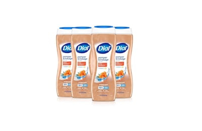 Foto 1 | Gel de Baño Dial Pamper & Indulge Silk & Seaberry 620 Ml X4 - Venta Internacional