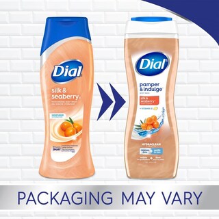Foto 2 | Gel de Baño Dial Pamper & Indulge Silk & Seaberry 620 Ml X4 - Venta Internacional
