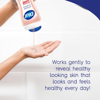 Foto 4 | Body Wash Dial Exfoliate & Restore con Sal del Himalaya 478 Ml 4 Unidades - Venta Internacional
