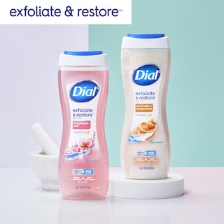 Foto 6 | Body Wash Dial Exfoliate & Restore con Sal del Himalaya 478 Ml 4 Unidades - Venta Internacional
