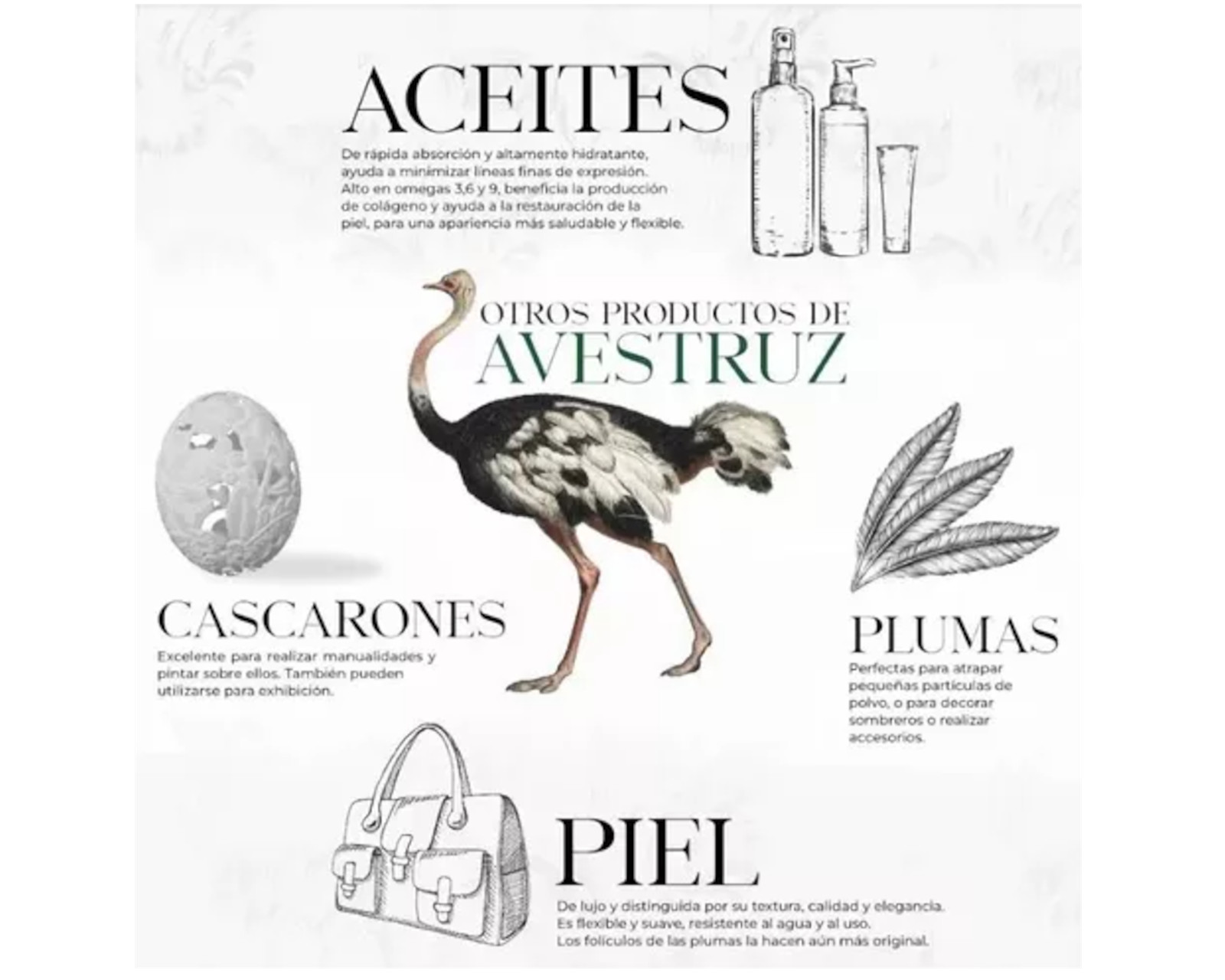 Foto 5 pulgar | Sérum De Aceite De Avestruz -manzanilla