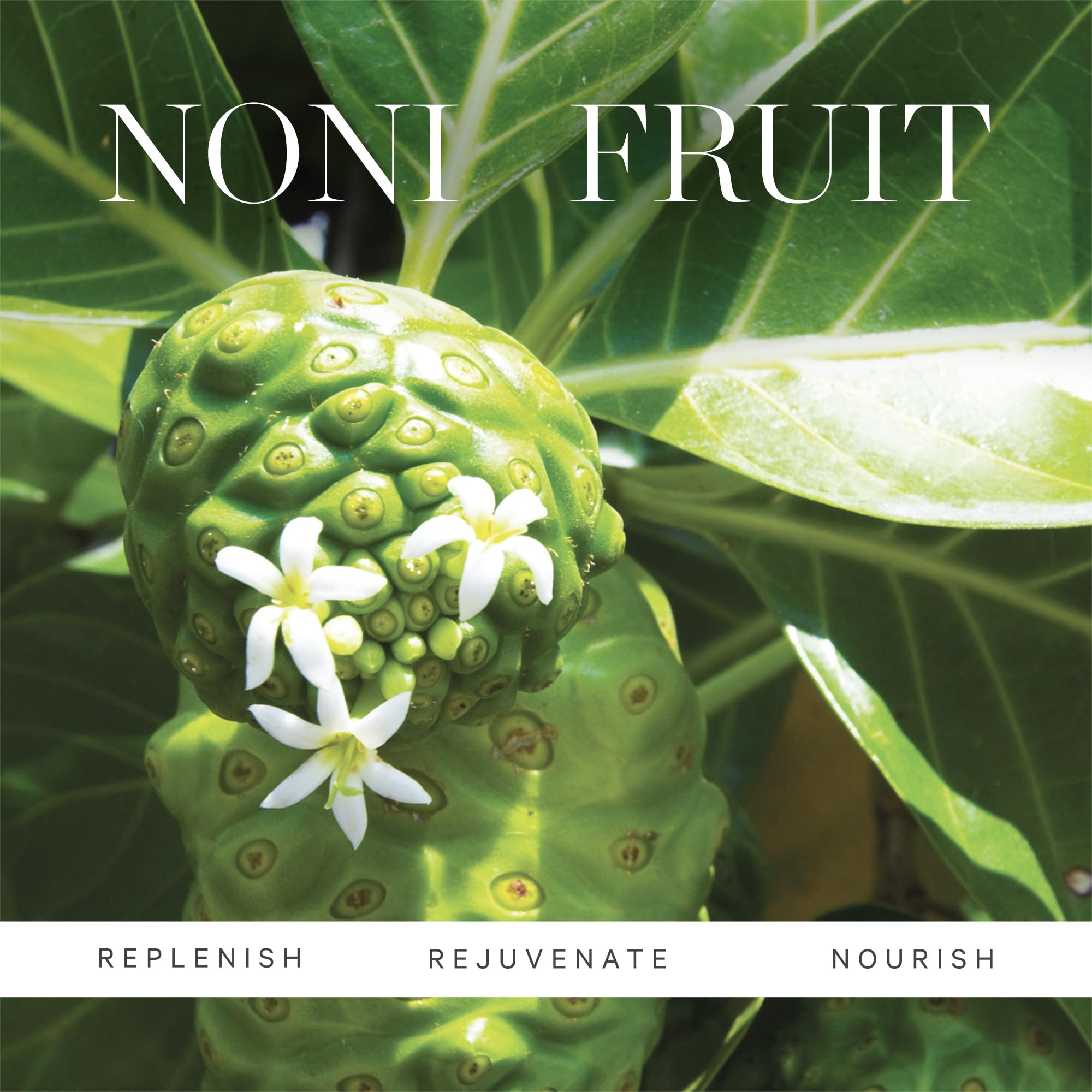Foto 6 pulgar | Aceite Corporal Kora Organics Noni Glow Que Nutre La Piel Suave, 100 Ml - Venta Internacional.