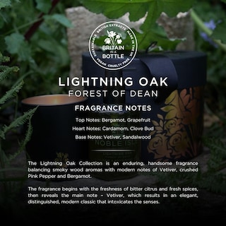 Foto 4 | Gel Limpiador Noble Island Lightning Oak Para Cabello Y Cuerpo 250 Ml - Venta Internacional.
