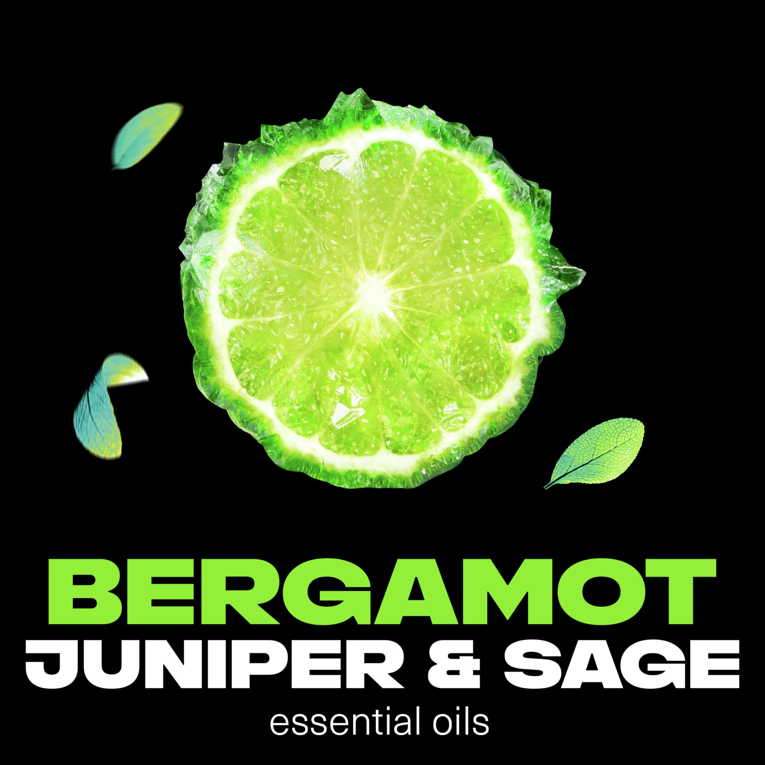 Foto 4 | Gel de Baño Axe Fine Fragrance Aqua Bergamot 530 ml 4 Piezas - Venta Internacional