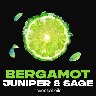 Foto 4 | Gel de Baño Axe Fine Fragrance Aqua Bergamot 530 ml 4 Piezas - Venta Internacional