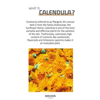 Foto 3 | Crema Corporal Weleda Baby Calendula Nutritiva 75 Ml A Base De Plantas - Venta Internacional.