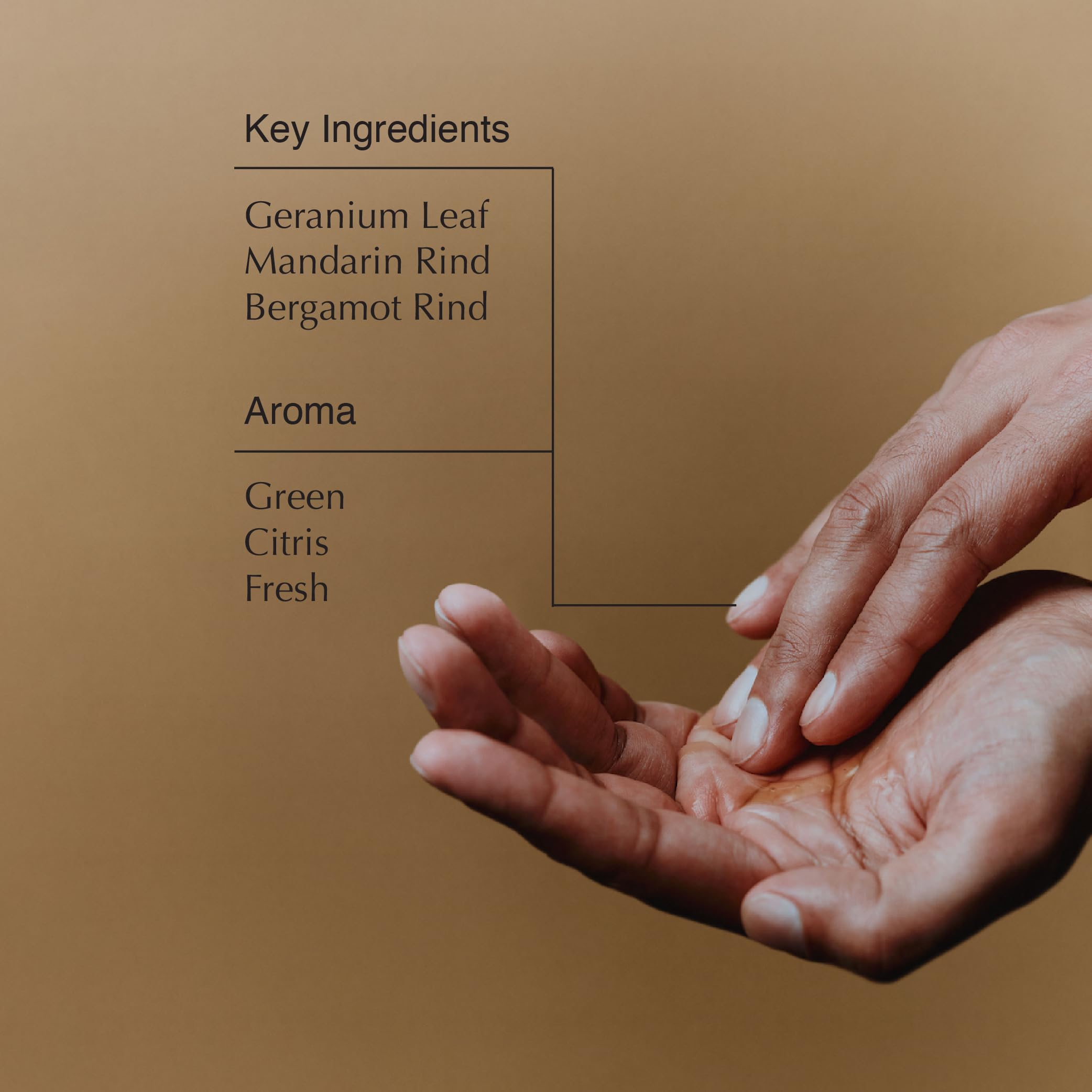 Foto 3 | Limpiador Corporal Aesop, Gel Revitalizante Con Hojas De Geranio, 500 Ml - Venta Internacional.