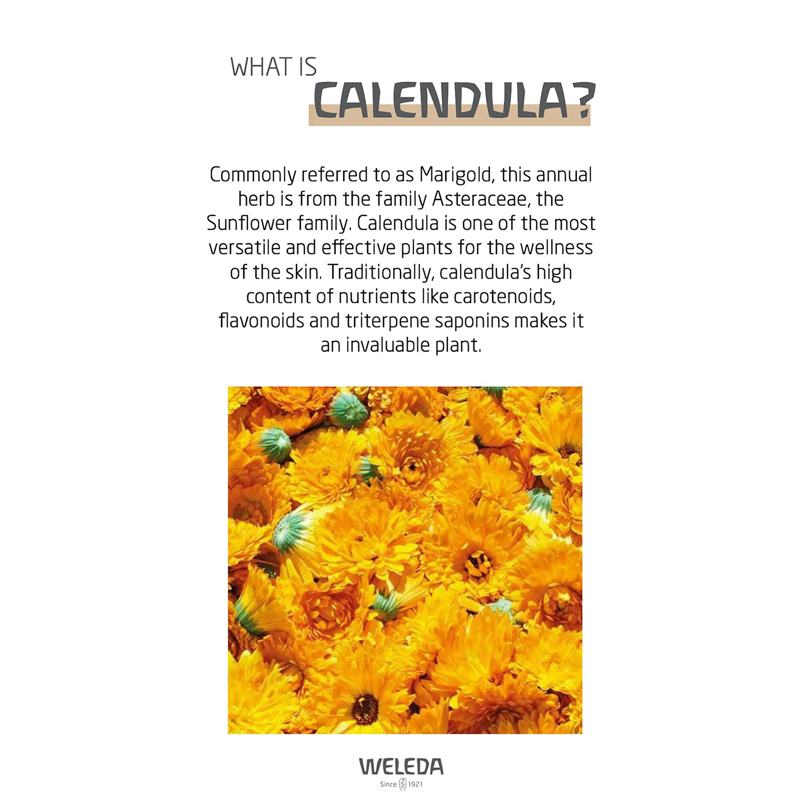 Foto 5 pulgar | Crema Facial Weleda Baby Calendula Nutritiva 50 Ml - Venta Internacional.