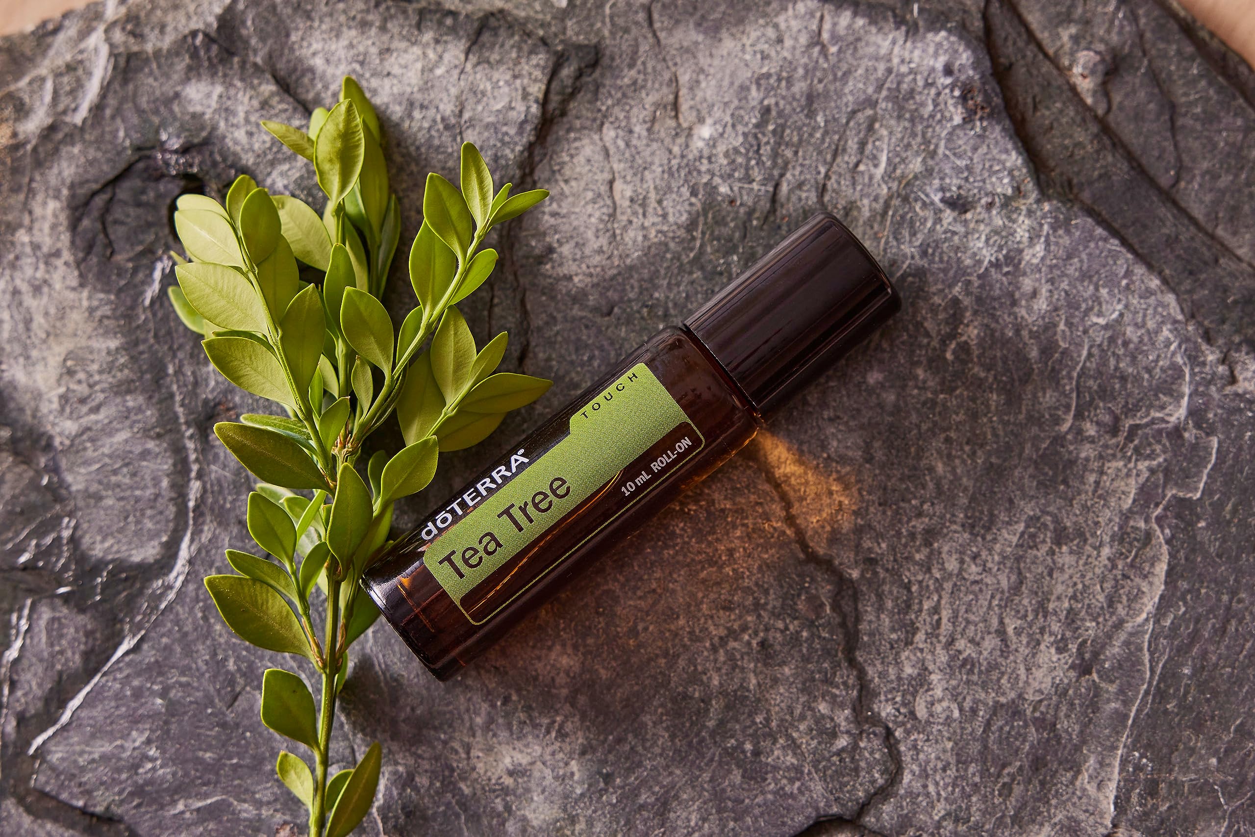 Foto 3 pulgar | Aceite Esencial Dōterra Melaleuca (árbol De Té) Touch, 10 Ml, Rollo - Venta Internacional.