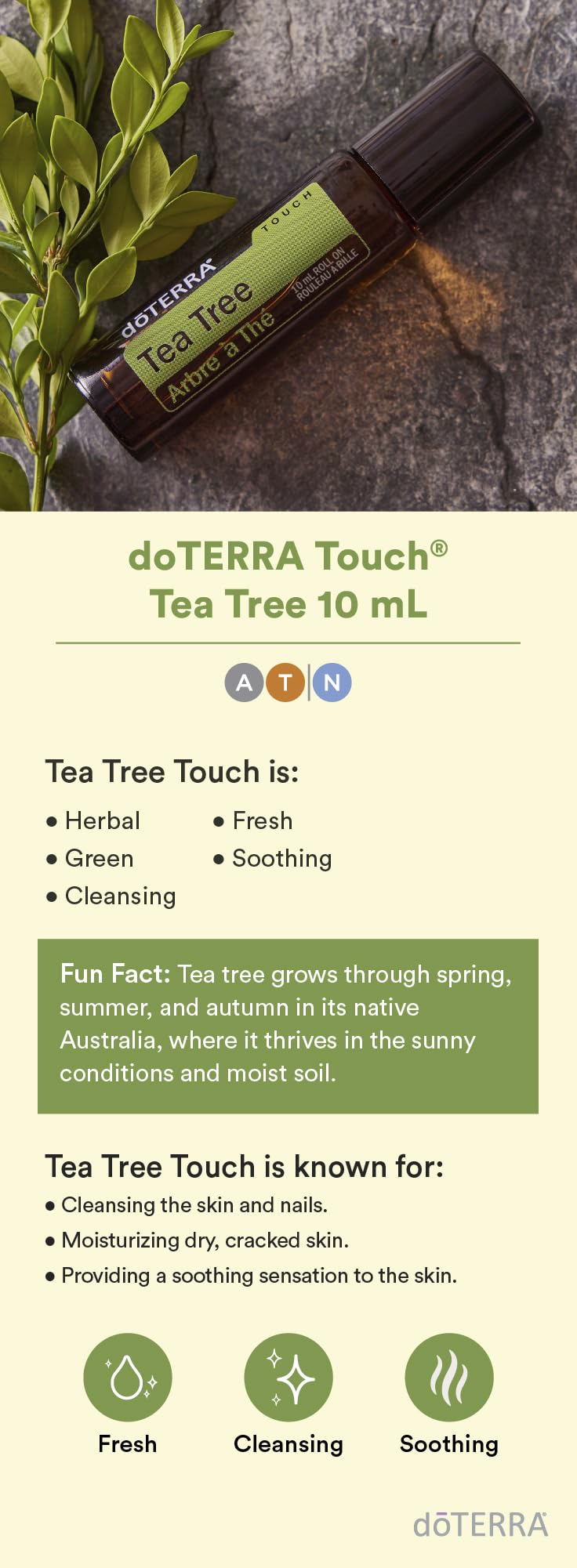 Foto 3 | Aceite Esencial Dōterra Melaleuca (árbol De Té) Touch, 10 Ml, Rollo - Venta Internacional.