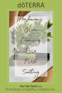 Foto 5 | Aceite Esencial Dōterra Melaleuca (árbol De Té) Touch, 10 Ml, Rollo - Venta Internacional.