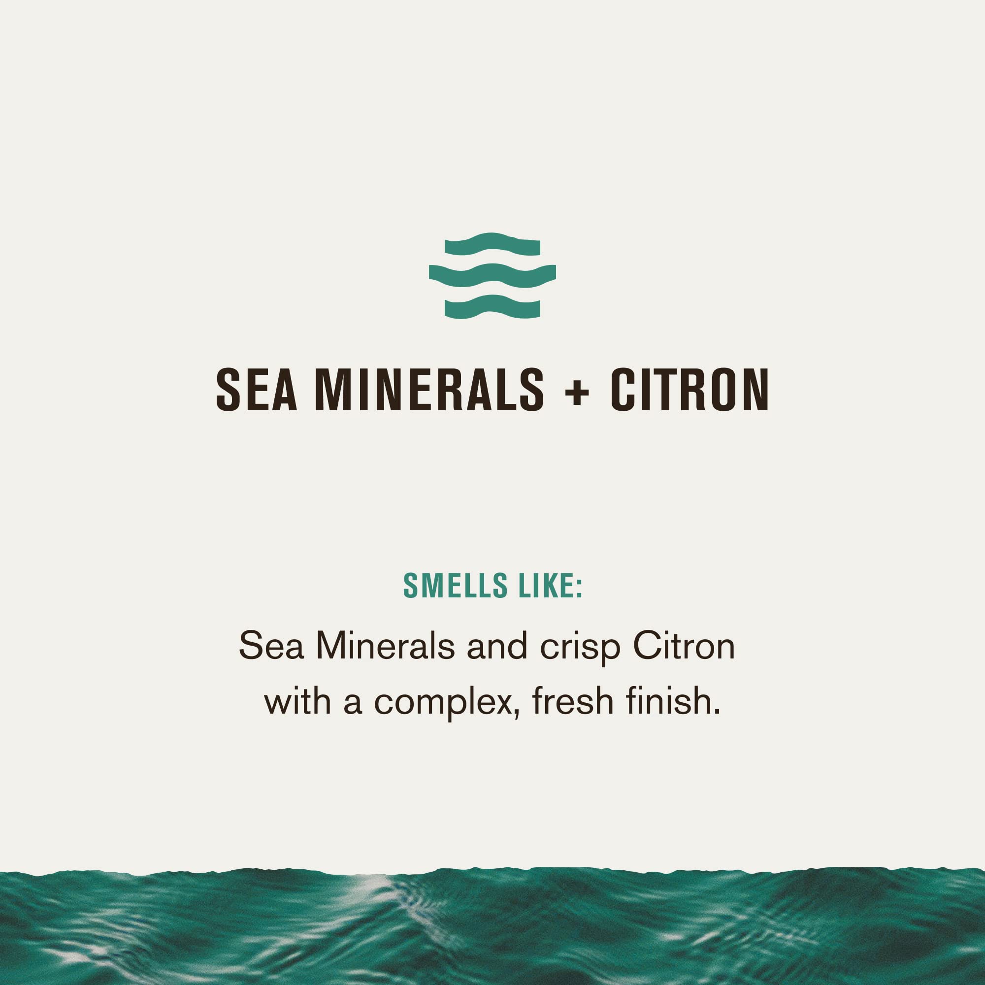 Foto 2 | Loción Para Manos Y Cuerpo Every Man Jack Sea Minerals + Citron 400 Ml - Venta Internacional.
