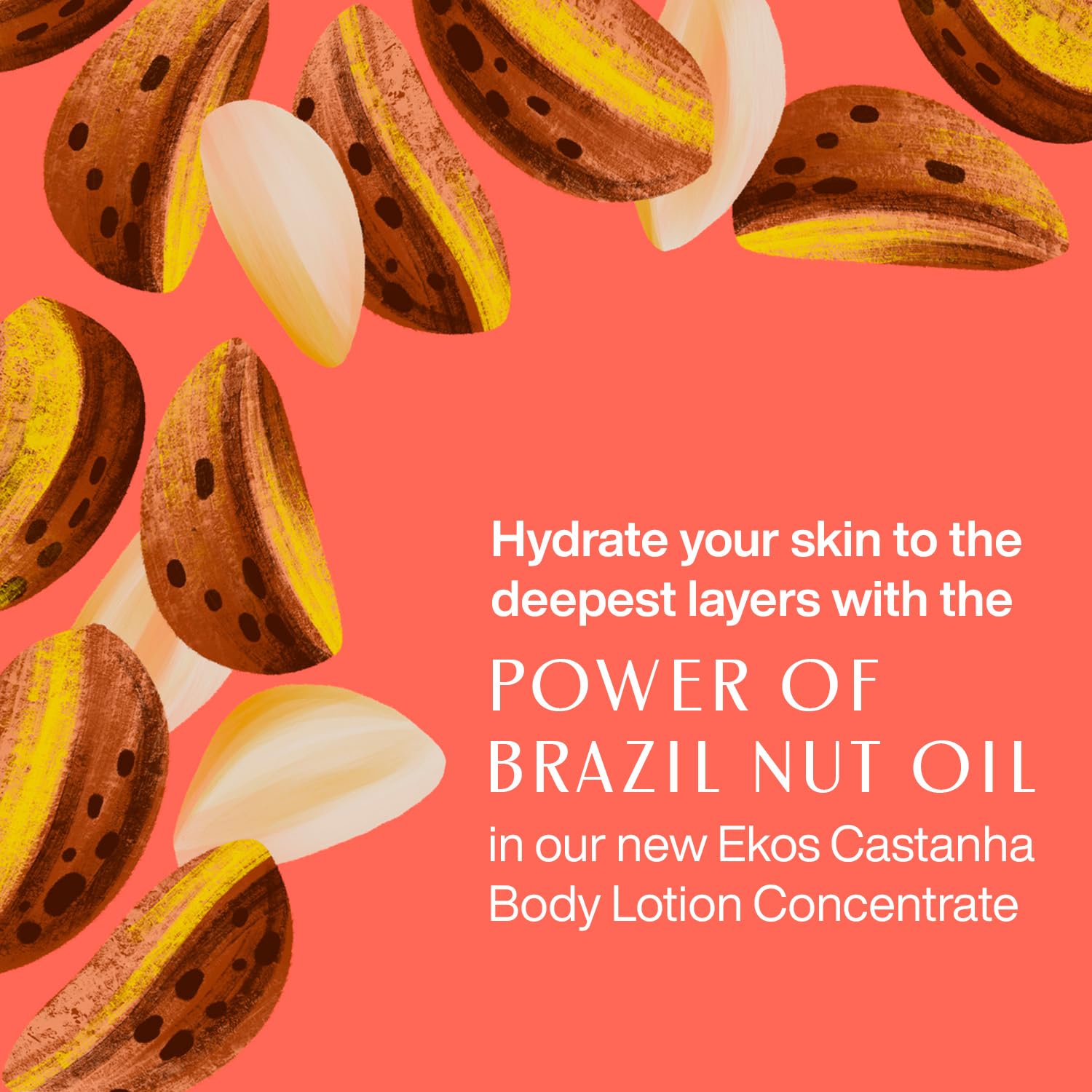 Foto 2 | Loción Corporal Natura Ekos Castanha Concentrado 30 Ml Antisequedad - Venta Internacional.