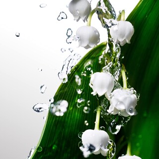 Foto 6 | Gel De Ducha Davidoff Cool Water Para Mujer 150 Ml - Venta Internacional.