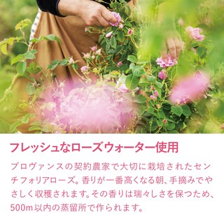 Foto 4 | Gel De Ducha L'occitane Rose 250 Ml - Venta Internacional.