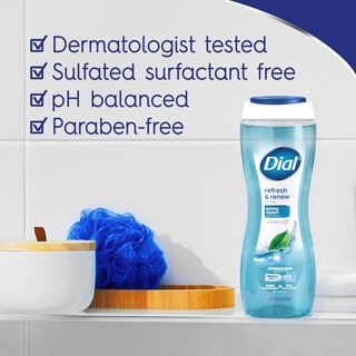 Foto 2 | Gel De Baño Dial Refresh & Renew Spring Water 473 Ml X4 - Venta Internacional.