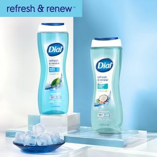 Foto 5 | Gel De Baño Dial Refresh & Renew Spring Water 473 Ml X4 - Venta Internacional.
