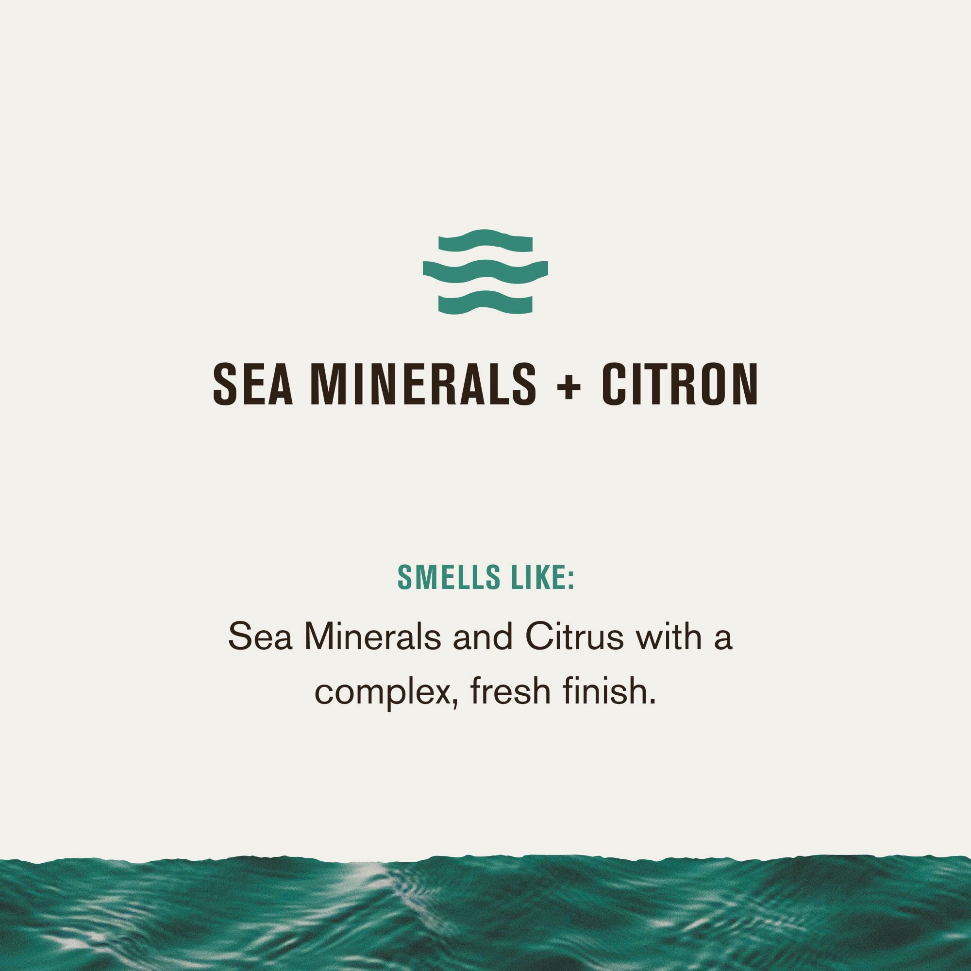 Foto 5 pulgar | Gel De Baño Every Man Jack Nourishing Sea Minerals + Citron 720 Ml - Venta Internacional.