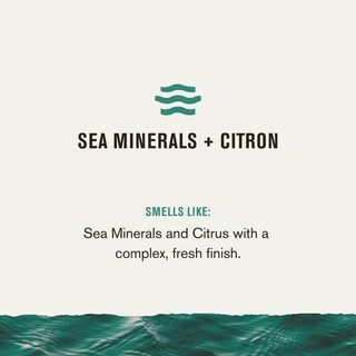 Foto 4 | Gel De Baño Every Man Jack Nourishing Sea Minerals + Citron 720 Ml - Venta Internacional.