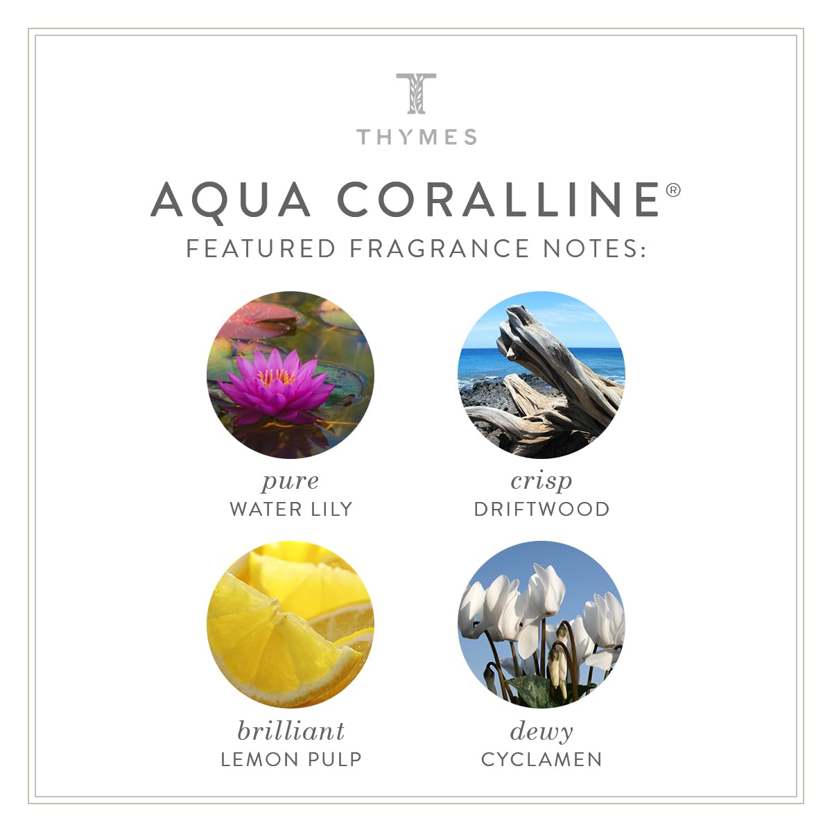 Foto 5 pulgar | Loción Corporal Thymes Aqua Coralline 275ml - Venta Internacional.
