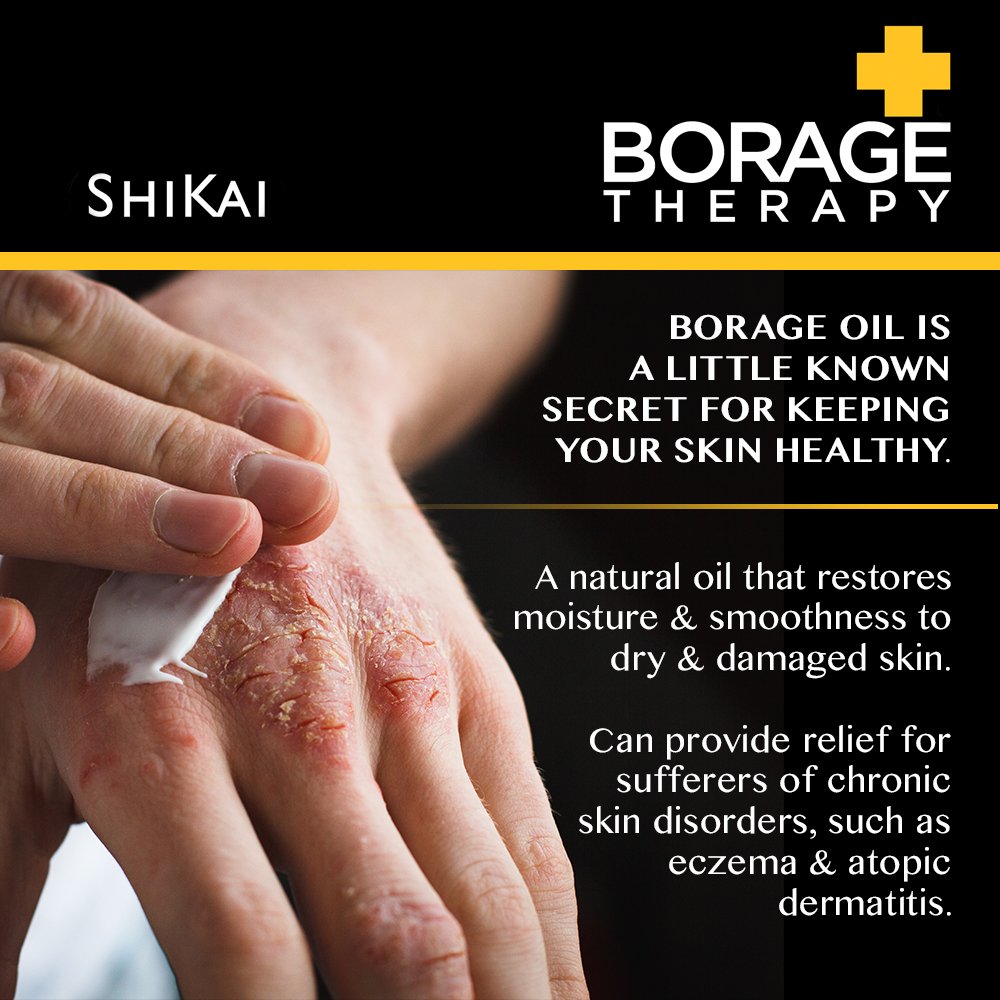 Foto 4 | Loción Corporal Shikai Borage Therapy 240 Ml Con Aceite De Semilla De Borraja - Venta Internacional.