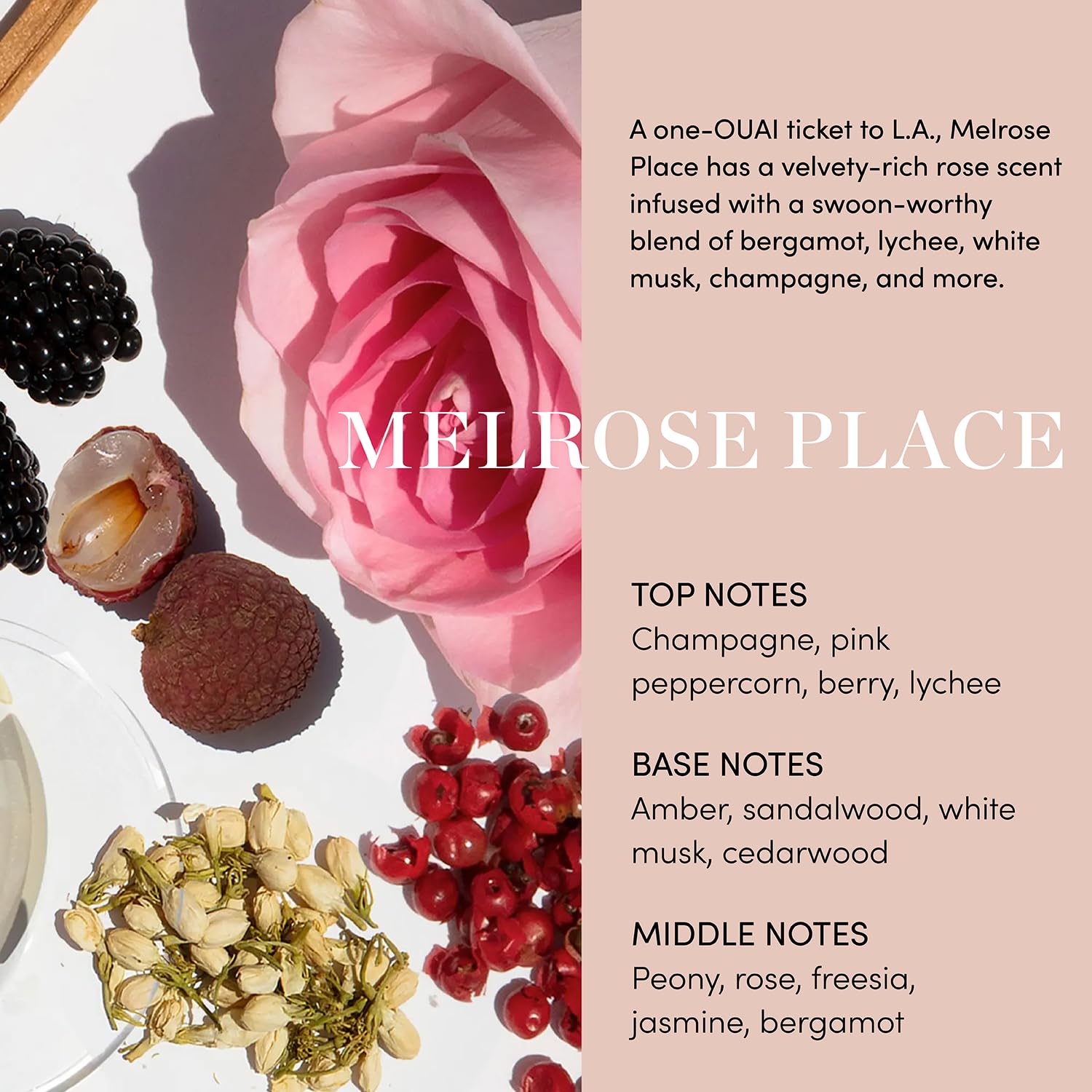 Foto 4 | Limpiador Corporal Ouai Melrose Place Con Aceite De Jojoba Y Rosa Mosqueta 300 Ml - Venta Internacional.