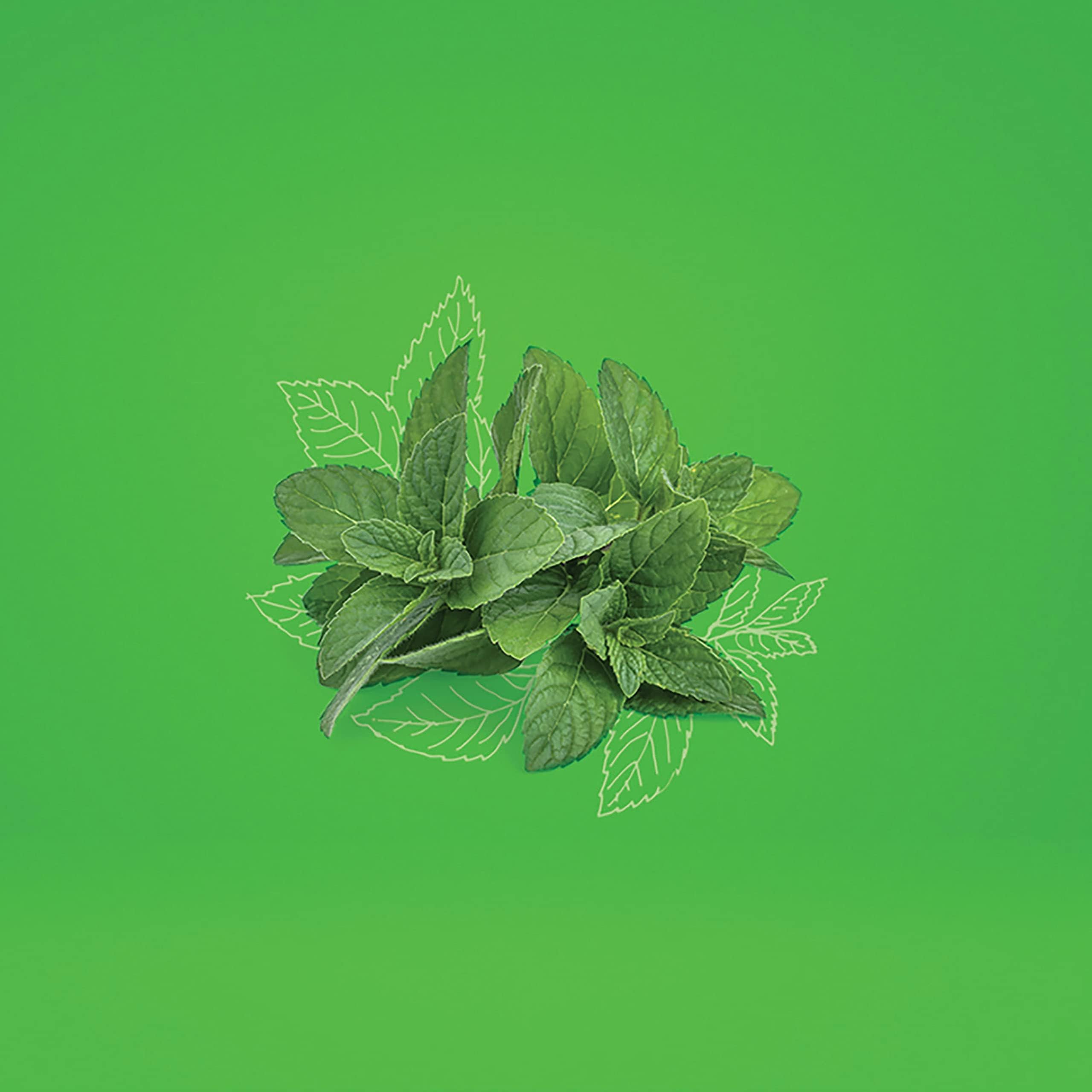 Foto 3 pulgar | Exfoliante Para Manos Y Cuerpo Sheamoisture African Wild Water Mint 355 Ml - Venta Internacional.