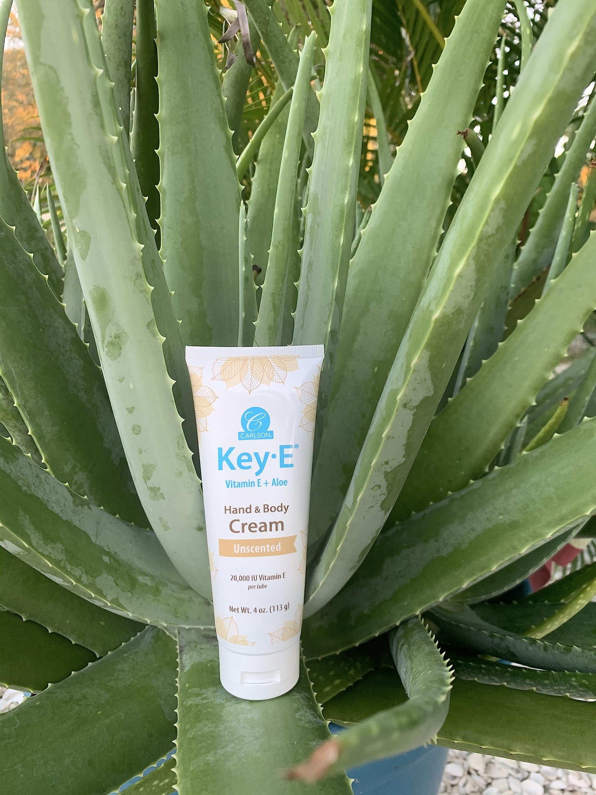 Foto 7 pulgar | Crema Para Manos Y Cuerpo Carlson Key-e Con Vitamina E Y Aloe Orgánico 60 Ml - Venta Internacional.