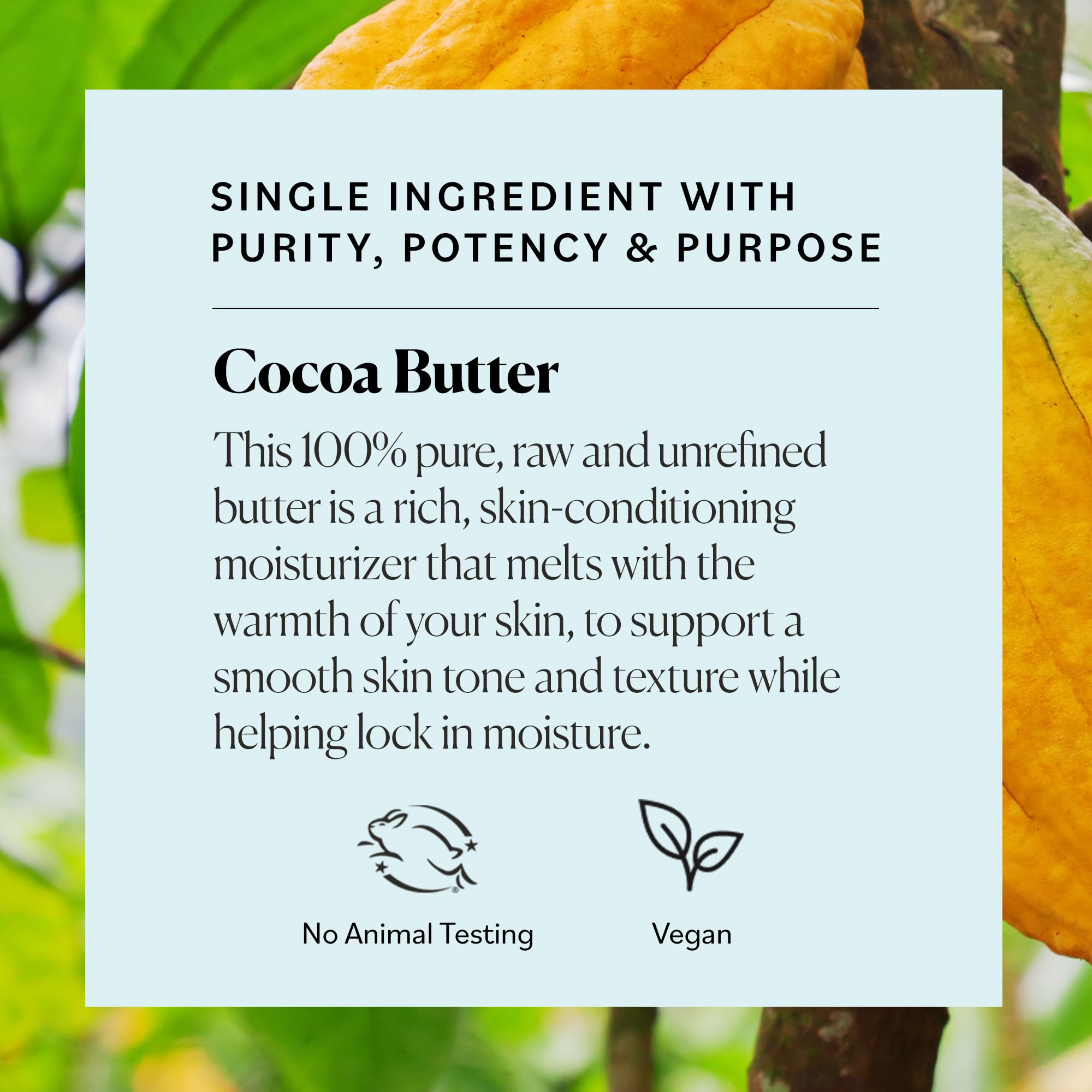 Foto 4 | Manteca De Cacao Body Butter Sky Organics 100% Cruda, 480 Ml - Venta Internacional.